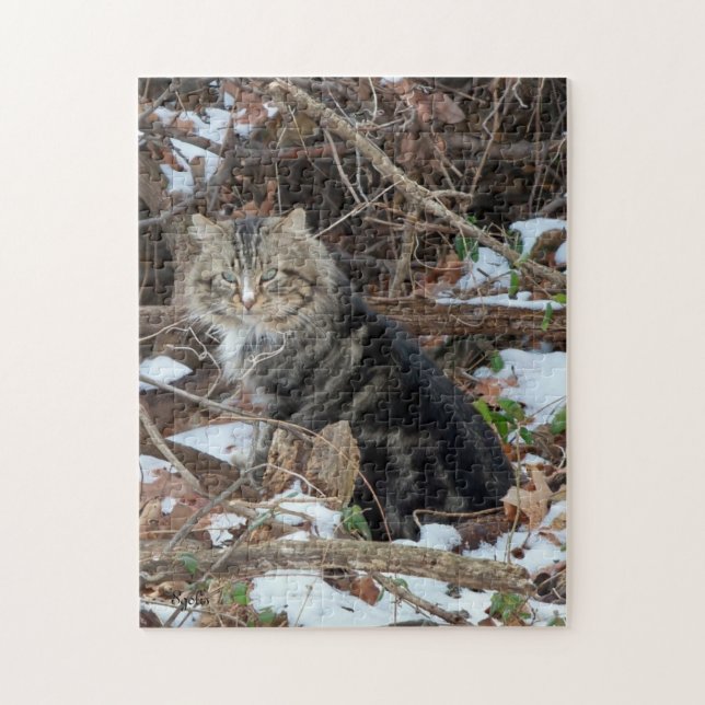 Chat Maine Coon dans la forêt Jeu de puzzle (Vertical)