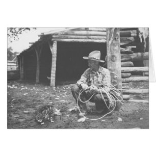 Chat mangeant hors d'une boîte de café avec une