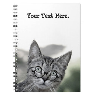 Chat mignon et surpris avec Carnet de lunettes