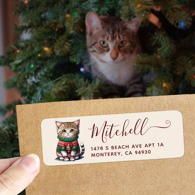 Chat mignon Ugly Sweat Party Adresse (Créateur téléchargé)