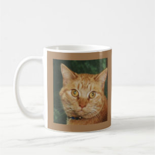 Chat Mug Mange Purr Love