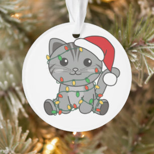 Chat Noël Animaux d'hiver Chats
