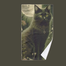 chat noir