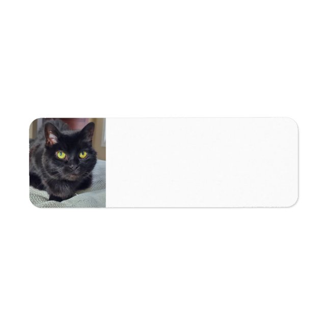chat noir (Devant)