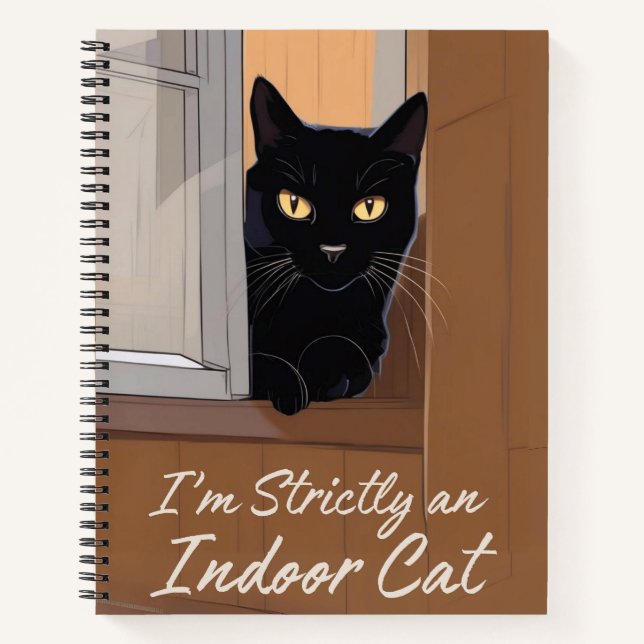 Chat noir au Journal de fenêtre (Devant)