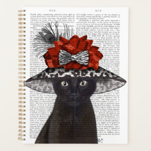 Chat noir avec Casquette fabuleux