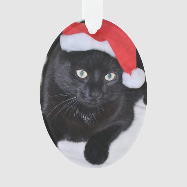 Chat noir avec le casquette rouge de Père Noël (devant)