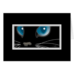Chat noir avec yeux bleus