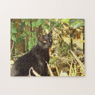 Chat noir dans le puzzle de Sun de matin