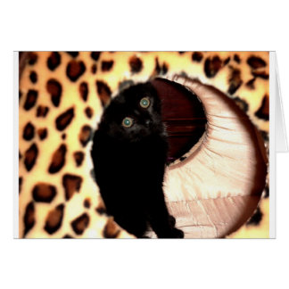 Chat noir dans un hooche léopard