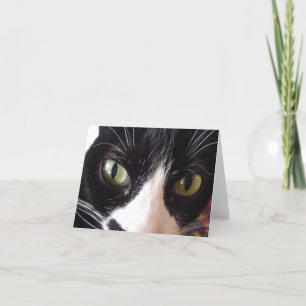Chat noir et blanc avec carte de note aux yeux ver