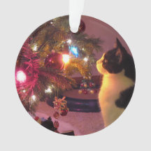 Chat noir et blanc avec l'ornement d'arbre de Noël