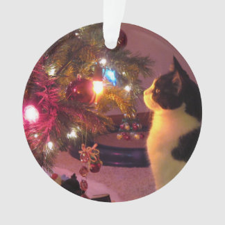 Chat noir et blanc avec l'ornement d'arbre de Noël