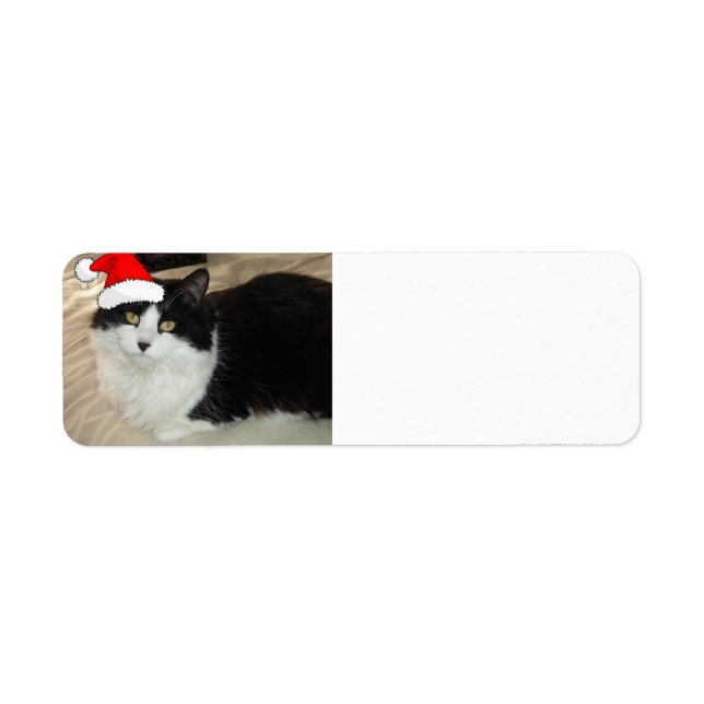Chat noir et blanc de Noël (Devant)