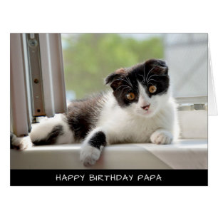 Chat noir et blanc Extra Grande carte d'anniversai