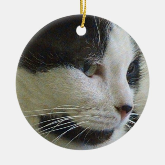 Chat noir et blanc sur ornement en céramique (Devant)