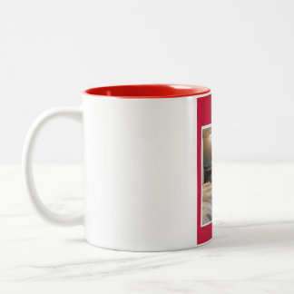 chat noir et blanc sur tasse rouge