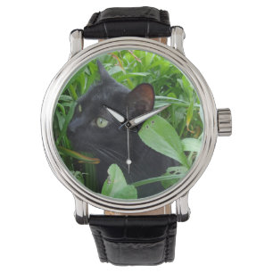 Chat noir et montre de feuillage