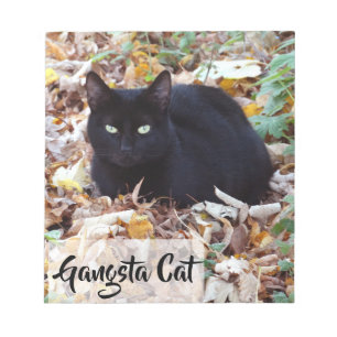 Chat noir Feuilles d'automne Bloc-notes photo - 40