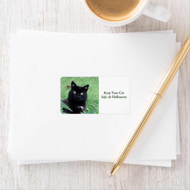 Chat noir - Gardez votre chat Étiquette en sécurit (En situation)
