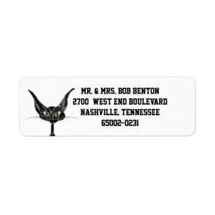 Chat noir superstitieux