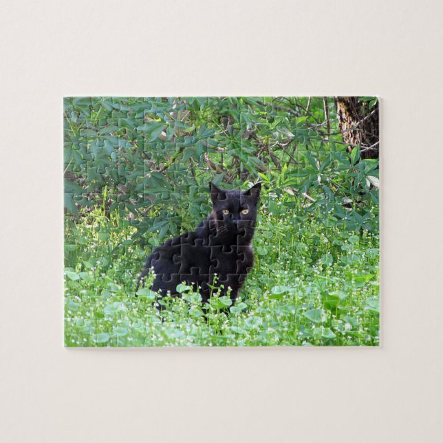Chat noir sur un puzzle de journée de printemps (Horizontal)