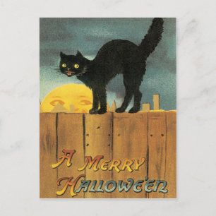 Chat Noir Sur Une Clôture Carte Postale Vintage