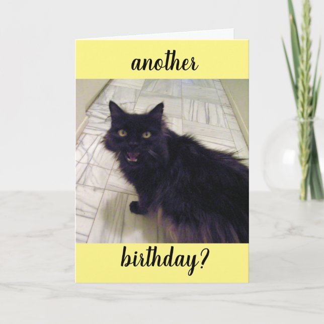 Chat noir Une autre carte de voeux d'anniversaire (Devant)