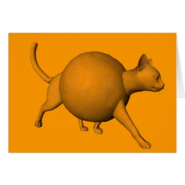 Chat orange amusant (Devant horizontal)