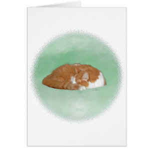 Chat orange endormi