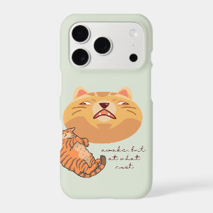 Chat Orange Fatigué