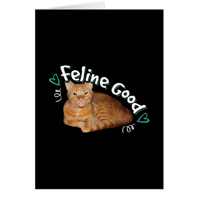 Chat Orange - Feline Good Pun (Devant)