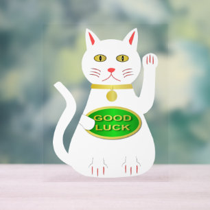 Chat Oriental Lucky