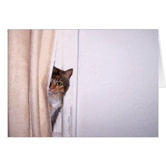 Chat Peek-a-Boo