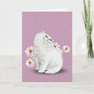 chat persan blanc avec carte de marguerites