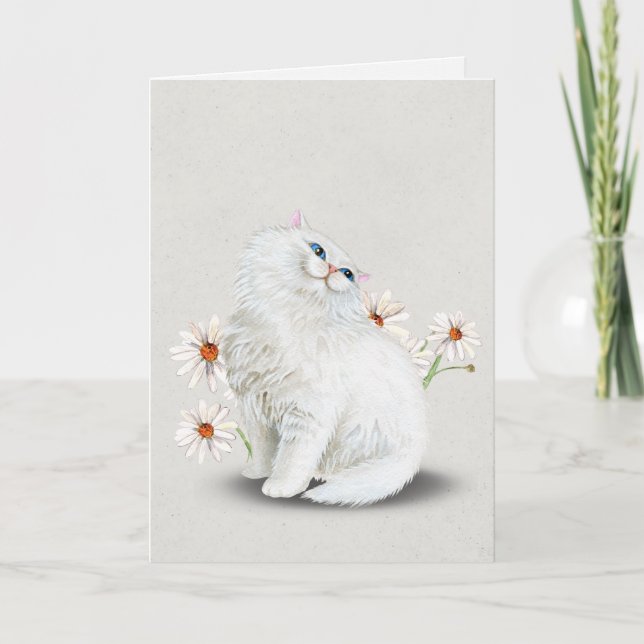 chat perse blanc avec carte de marguerites (Devant)