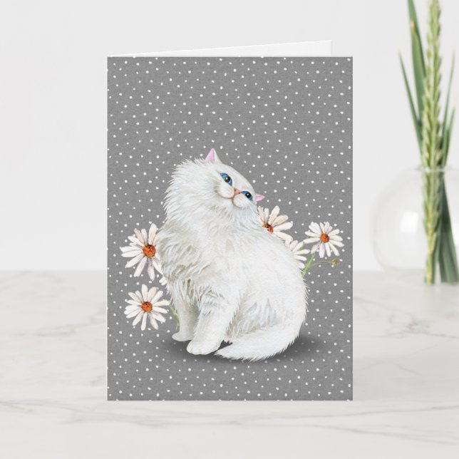 chat perse blanc avec marguerite Carte (Devant)