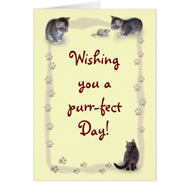 Chat personnalisable (Devant)