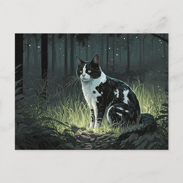Chat Piebald noir et blanc dans la carte postale d (Devant)