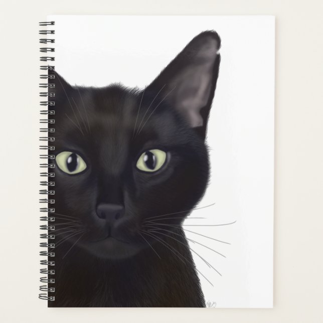 Chat, Portrait de Gus (Devant)