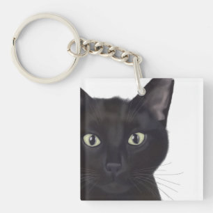 Chat, Portrait de Gus