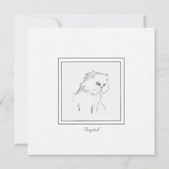 Chat Ragdoll noir et blanc Carte de billets contem (Devant)