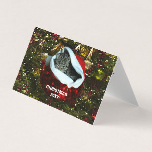 Chat Shorthair Grey en Red Santa Chapeau Noël 20XX