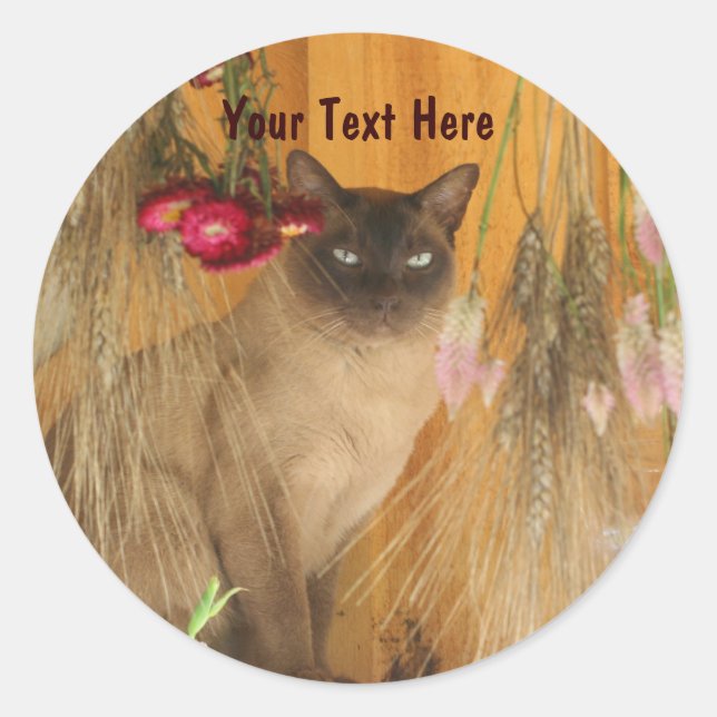 Chat Siamais Possédant Un Sticker De Photographie  (Devant)