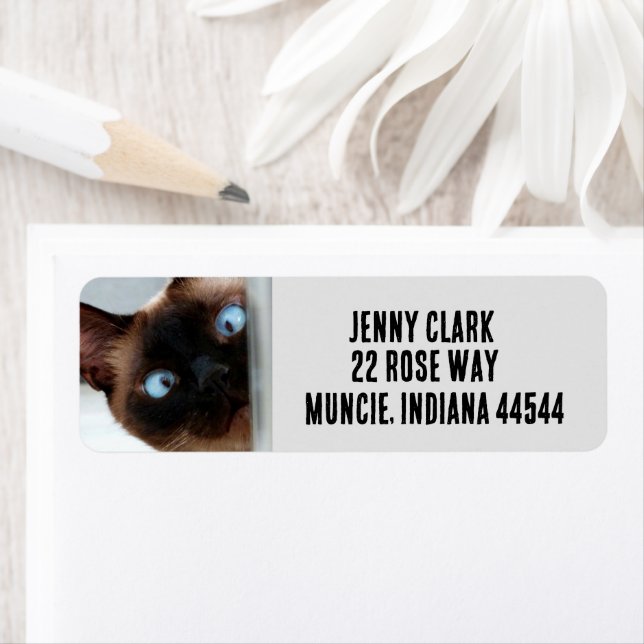 CHAT SIAMÈNE CUTE ÉTIQUETTES D'ADRESSE DE RETOUR (En situation)