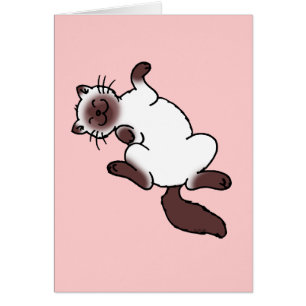 Chat siamois de point mignon de chocolat