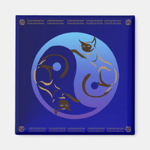 Chat siamois Yin et aimant de Yang