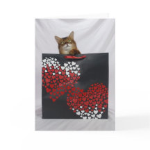 Chat somalien mignon en sac Carte Saint Valentin