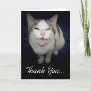Chat souriant Carte de remerciements