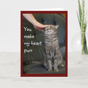 Chat Souriant En Méton Carte De Vacances